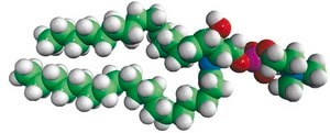 Brain SM Avanti Research™ - A Croda Brand