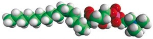 18:0 Lyso PC 1-stearoyl-2-hydroxy-sn-glycero-3-phosphocholine, chloroform