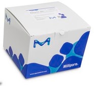 GDS E. coli O157:H7 Tq suitable for RT-PCR, for Escherichia coli 