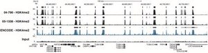Anti-Dimethyl Histone H3 (Lys4) Antibody, clone CMA303 clone CMA303, from mouse