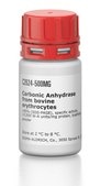 Anhidrasa carbónica from bovine erythrocytes ≥95% (SDS-PAGE), specific activity ≥3,500 W-A units/mg protein, lyophilized powder