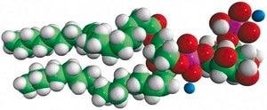 18:1 PI(5)P 1,2-dioleoyl-sn-glycero-3-phospho-(1′-myo-inositol-5′-phosphate) (ammonium salt), powder