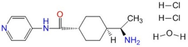 Y-27632 in DMSO InSolution, ≥95%, 10 mM, reversible and selective inhibitor of Rho-associated protein kinases