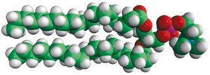 20:0 PC 1,2-diarachidoyl-sn-glycero-3-phosphocholine, chloroform