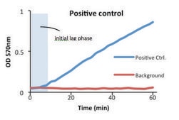 Ensayos de actividad de la ALT sufficient for 100 colorimetric&nbsp;or&nbsp;fluorometric&nbsp;tests