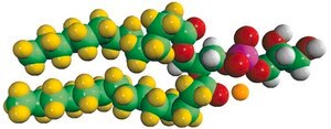 14:0 PG-d54 Avanti Research™ - A Croda Brand 860381P, powder