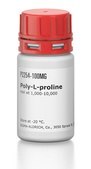 Poly-L-proline mol wt 1,000-10,000