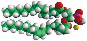16:0-18:1 PA 1-palmitoyl-2-oleoyl-sn-glycero-3-phosphate (sodium salt), chloroform