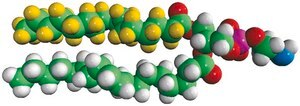 16:0-d31-18:1 PE 1-palmitoyl-d31-2-oleoyl-sn-glycero-3-phosphoethanolamine, chloroform