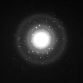 リン酸三カルシウム 水和物 nanopowder, <200 nm particle size (BET)