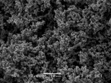 High surface area conducting polyaniline