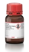 α-Amylase from Bacillus sp. powder, ≥400 units/mg protein (Lowry)