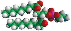 10:0 PE 1,2-didecanoyl-sn-glycero-3-phosphoethanolamine, chloroform