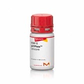 joYPhos™ Umicore