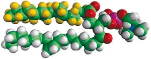 16:0-d31-18:1 PC 1-palmitoyl-d31-2-oleoyl-sn-glycero-3-phosphocholine, powder