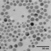 銀、分散液 nanoparticles, 10 nm particle size, 0.02 mg/mL in aqueous buffer, contains sodium citrate as stabilizer