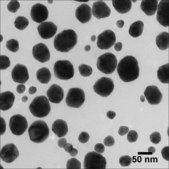 銀、分散液 nanoparticles, <100 nm (particle size TEM), 5 wt. % in ethylene glycol