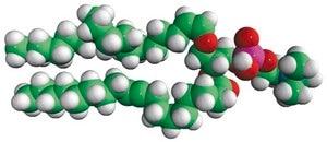 C18(Plasm)-18:1 PC Avanti Research™ - A Croda Brand