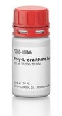 Poly-L-ornithine hydrobromide mol wt 30,000-70,000