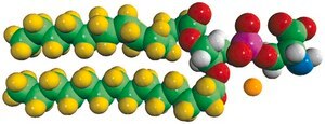 14:0 PS-d54 Avanti Research™ - A Croda Brand 860400P, powder