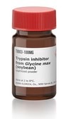Trypsin inhibitor from Glycine max (soybean) lyophilized powder