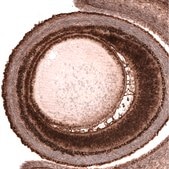 Monoclonal Anti-PAX6 antibody produced in mouse Prestige Antibodies® Powered by Atlas Antibodies, clone CL5414, purified immunoglobulin, buffered aqueous glycerol solution