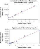 プロテアーゼ蛍光検出キット high sensitivity assay