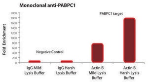 Imprint® RNA Immunoprecipitation Kit High-capacity Protein A magnetic beads for successful RNA Immunoprecipitation,suitable for use with mRNA and microRNA