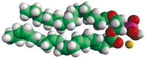 16:0-22:6 PA 1-palmitoyl-2-docosahexaenoyl-sn-glycero-3-phosphate (sodium salt), chloroform