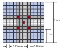 Millicell® Disposable Hemocytometer Neubauer Improved ruling pattern, 2 chambers/slide, 10 µL loading volume, individually wrapped