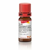 Proteinase K from Tritirachium album buffered aqueous glycerol solution, Molecular Biology, ≥800 units/mL
