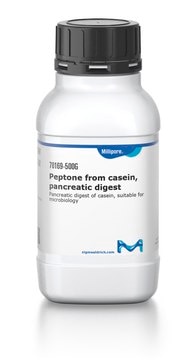 N-Z-Case® Tryptone from bovine milk, pkg of 1 kg, suitable for microbiology