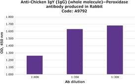 抗ニワトリIgY (IgG) (全分子)−ペルオキシダーゼ ウサギ宿主抗体 IgG fraction of antiserum, buffered aqueous solution