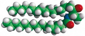 N-C16-deoxysphinganine N-palmitoyl-1-deoxysphinganine (m18:0/16:0), powder