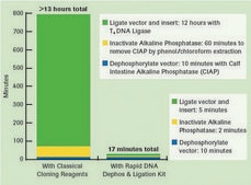 Rapid DNA Dephos &amp; Ligation Kit sufficient for 40 reactions (04898117001), sufficient for 160 reactions (04898125001), optimum reaction temp. 37 °C