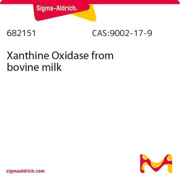 Xanthine Oxidase from bovine milk Native xanthine oxidase from bovine milk. Complex metalloprotein that catalyzes oxidative hydroxylation of a variety of aromatic heterocycles and simple aldehydes. Catalyzes the oxidation of xanthine to uric acid.