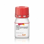 Poly(9-vinylcarbazole) average Mw ~1,100,000, powder