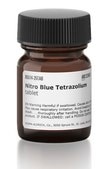 Nitro Blue Tetrazolium tablet