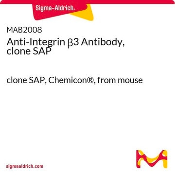 Anti-Integrin β3 Antibody, clone SAP clone SAP, Chemicon®, from mouse
