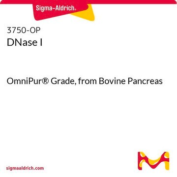 DNase I OmniPur® Grade, from Bovine Pancreas