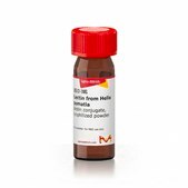 Lectin from Helix pomatia biotin conjugate, lyophilized powder