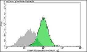 Anti-Integrin alpha5 (Preservative Free) Antibody, clone SNAKA51 clone SNAKA51, from mouse, purified by using protein G
