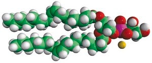 18:1 (Δ9-Cis) PG Avanti Research™ - A Croda Brand