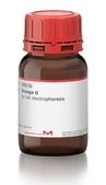 Orange G for NA electrophoresis
