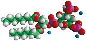 08:0 PI(3,5)P2 1,2-dioctanoyl-sn-glycero-3-phospho-(1′-myo-inositol-3′,5′-bisphosphate) (ammonium salt), powder