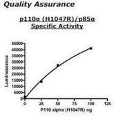 PI3 kinase [p110a(H1047R)/p85a] Active human recombinant, expressed in baculovirus infected insect cells, ≥60% (SDS-PAGE)