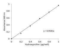 Hydroxyproline Assay Kit sufficient for 100 colorimetric&nbsp;tests