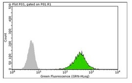 Anti-Histone H3 Antibody, (Unmodified Lys4), clone CMA301, Trial Size clone CMA301, from mouse, purified by affinity chromatography