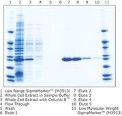 HIS-Select® Nickel Affinity Gel (1:1 suspension in a 20% ethanol solution)