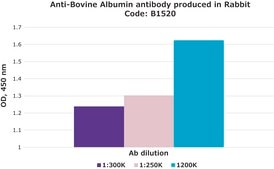 Anti-Bovine Albumin antibody produced in rabbit whole antiserum
